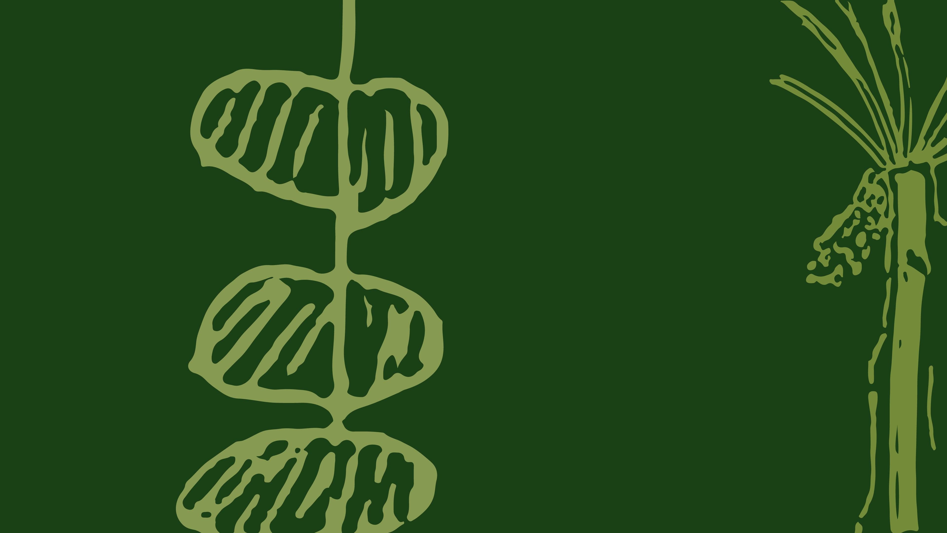 A Federação Brasileira das Associações de Síndrome de Down (FBASD)